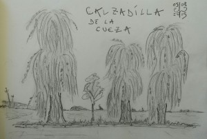 Calzadilla de la Cueza 05.08.2015